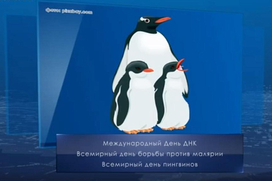 Всемирный день пингвинов. Календарь губернии от 25 апреля