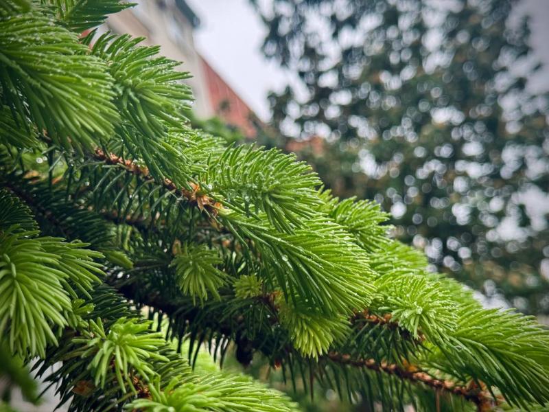 Народные приметы на 24 мая 2025 года: что нельзя делать в этот день