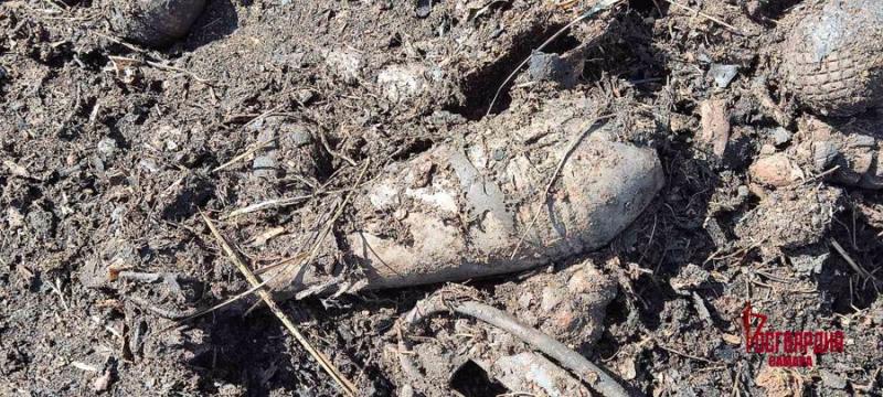 В Самарской области обнаружили схрон с боеприпасами