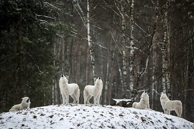 В Самарской области похолодает до -27 °C