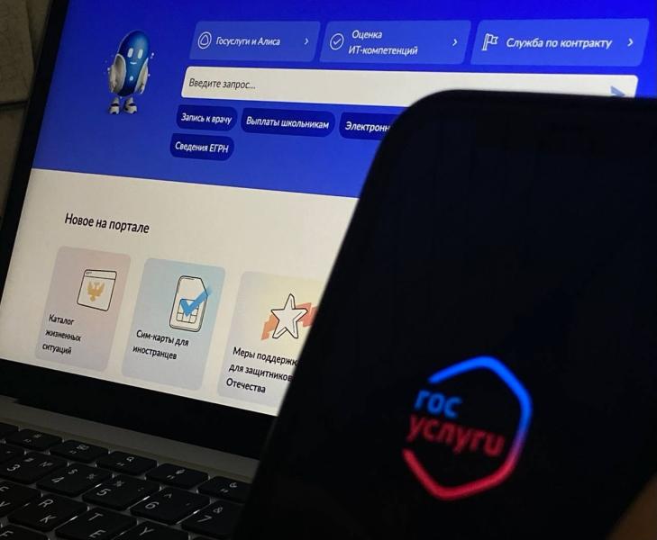 Свыше 2 млн россиян воспользовались сервисом "Жизненная ситуация" по защите от мошенников на портале "Госуслуги"