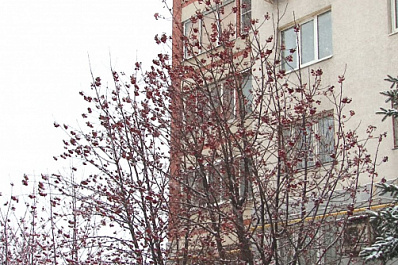 Сильный ветер, снег и дождь накроют Самарскую область в ближайшие часы