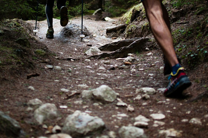 Название статьи