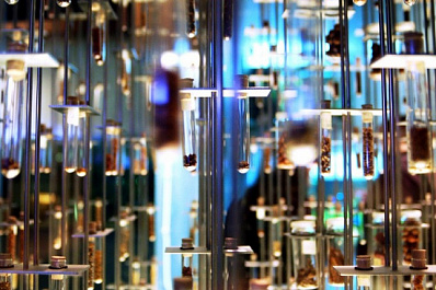 НОЦ стремятся к коллаборации: гости из Нижнего Новгорода побывали в ТГУ