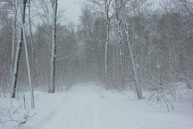 Метель и шквалистый ветер: жёлтый уровень опасности объявлен в Самарской области