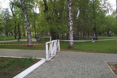 Лечить или снести: в Самаре решают, как поступить с 300-летним дубом