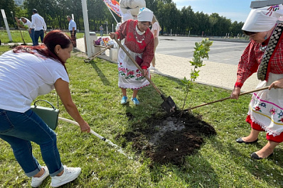 В Тольятти в Международный день дружбы высадили новые деревья