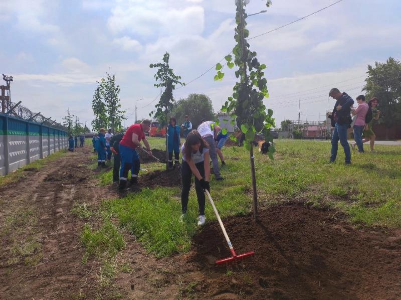 В Тольятти начали высаживать деревья в промышленной зоне