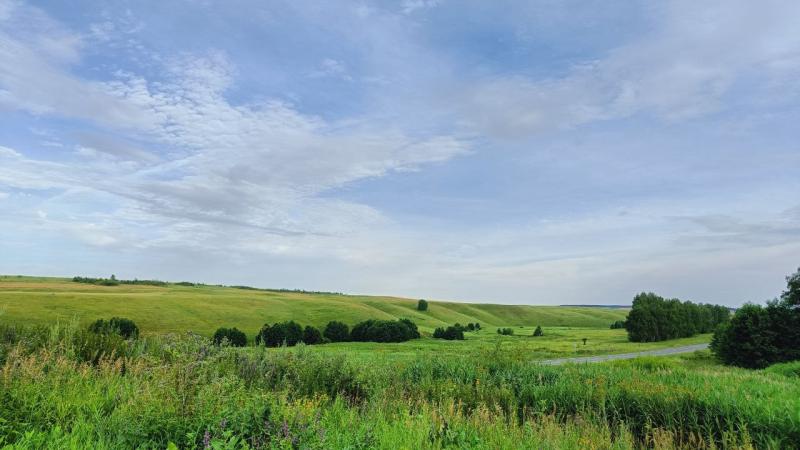 В Самарской области 15 июля будет 30-градусная жара 