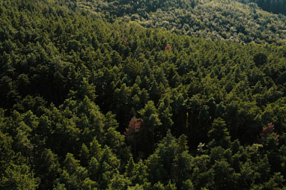 Название статьи