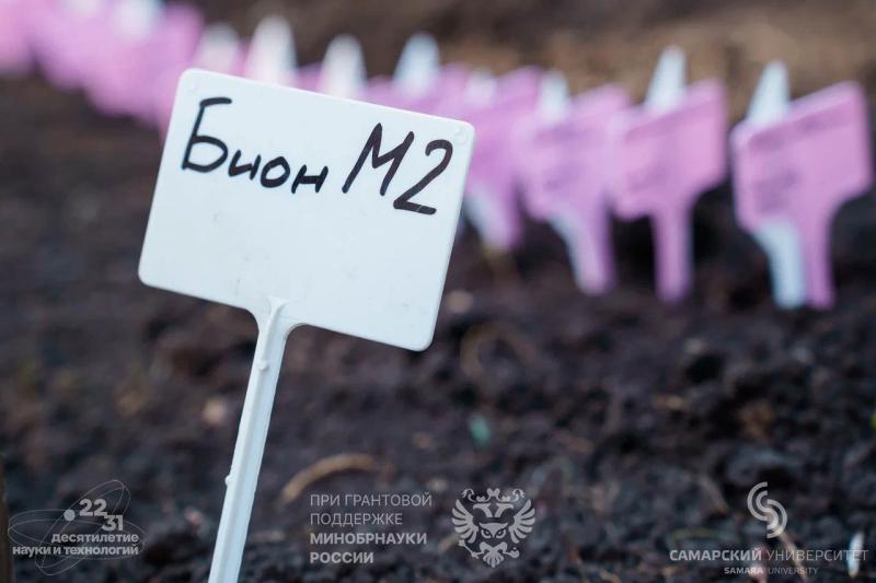 Семена-космонавты "высадились" в Ботаническом саду Самары