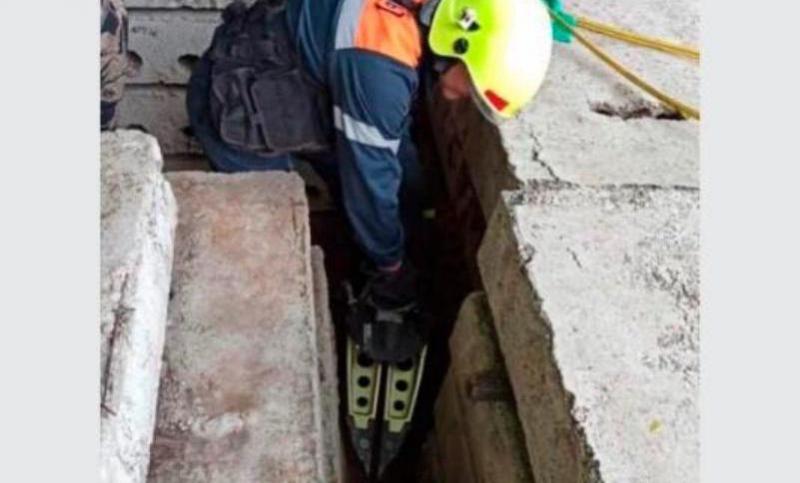 В Тольятти спасатели вызволили упитанную собаку из заточения