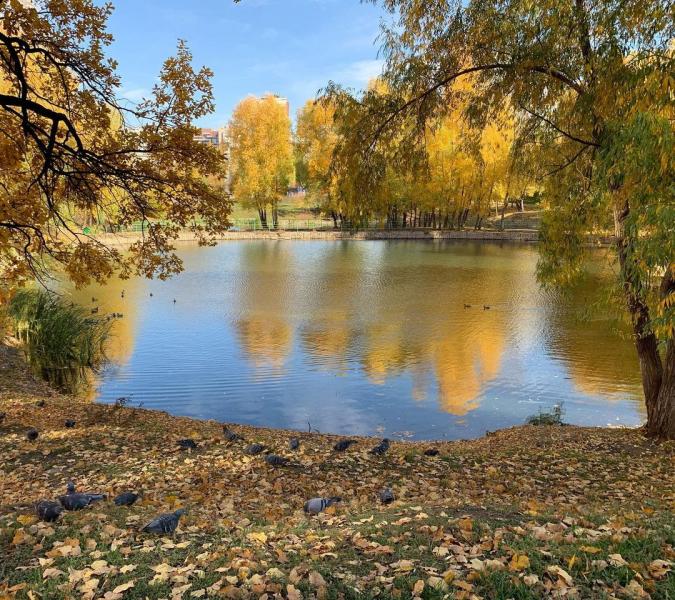 В Самарской области 2 ноября воздух прогреется до +10