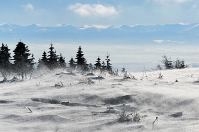 В Самарской области ожидается шквалистый ветер и метель
