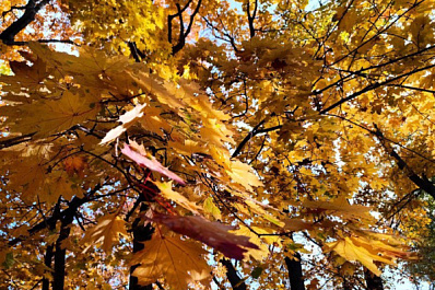 Народные приметы на 27 октября 2025 года: что нельзя делать в этот день