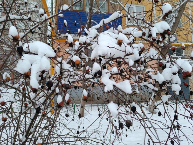 В Самарской области похолодает до -29 градусов 