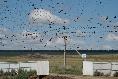 Народные приметы на 20 ноября 2025 года: что нельзя делать в этот день