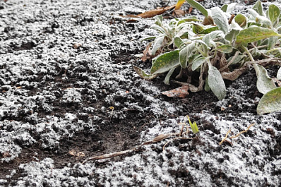 Народные приметы на 2 декабря 2025 года: что нельзя делать в этот день