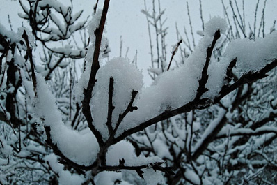 В Самарской области 2 ноября ожидается сильный снегопад и метель