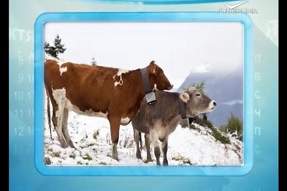 Календарь губернии 24.02.2016