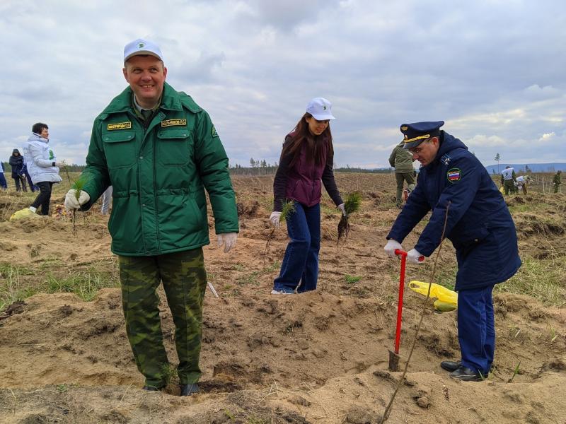 Для будущих поколений: в Самарской области посадили лес в память о погибших соотечественниках