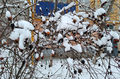 Название статьи