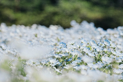 23 июля на Самарскую область обрушится град