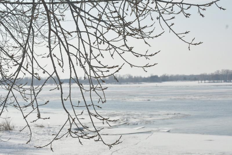В районе Самары Волга вскрылась ото льда