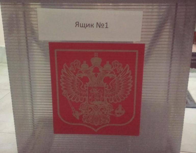 Лидер самарских общественников проголосовал по поправкам в Конституцию на дому