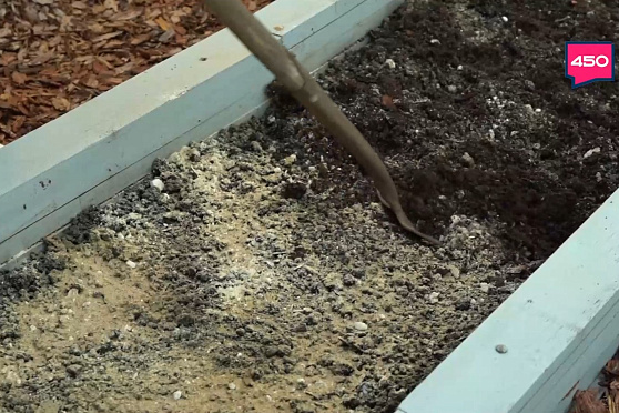 Подбираем удобрения для домашнего огорода. Дачные сезоны