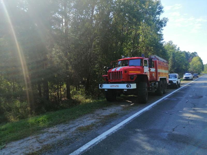 В Самарской области водитель "семерки" погиб, вылетев в кювет с трассы