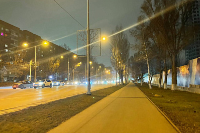 Самара встретила зиму без снега