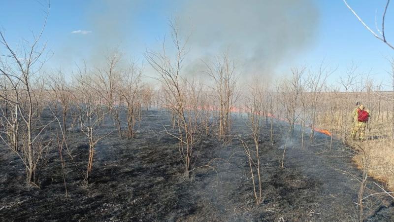 В Волжском районе горела сухая трава на 800 "квадратах"