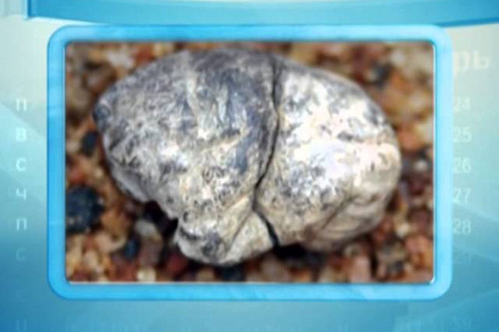 Календарь Губернии 28.12.2013