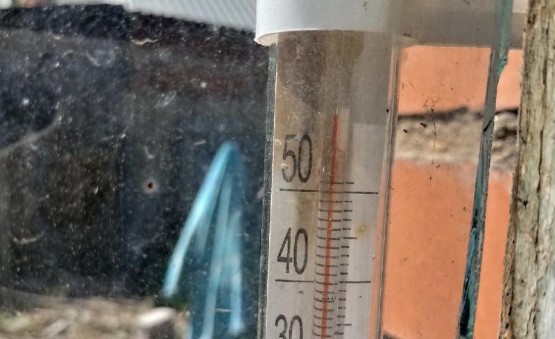 Не хватает шкалы термометров: жители Самарской области показали, как раскалился воздух в регионе