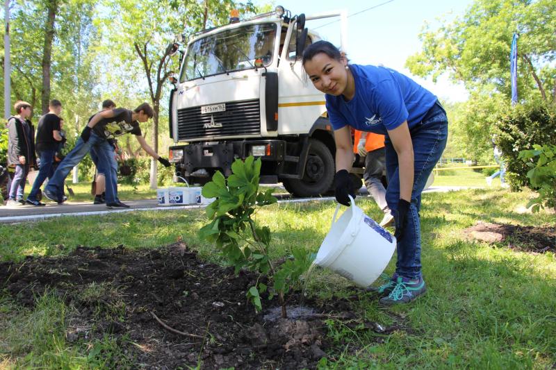 100 саженцев каштанов украсят парк "Дружба" в юбилейный год ТРК "Губерния"