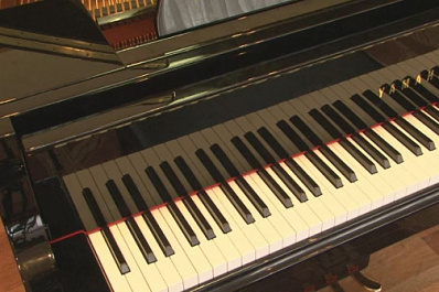 Тольяттинский лицей искусств получил 35 новых музыкальных инструментов