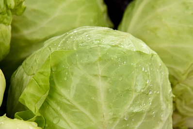 В Самаре подешевели капуста, соль, консервы и сахар