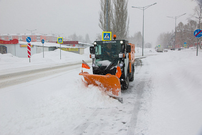 На Самарскую область в ночь на 15 января обрушится снегопад