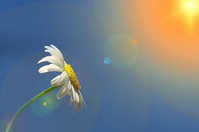 В Самарской области сегодня будет самый жаркий день с начала 2020 года