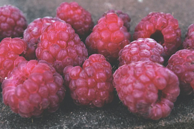 Ученые раскрыли малоизвестные полезные свойства ягод