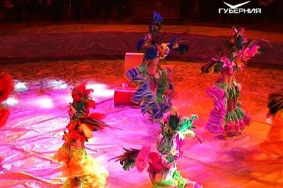 Уникальное шоу с дрессированными пингвинами “Ласта-Рика” проходит в Самарском цирке