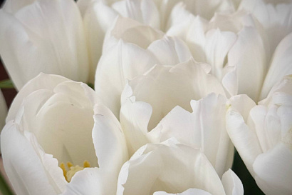 Название статьи