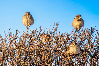 Название статьи