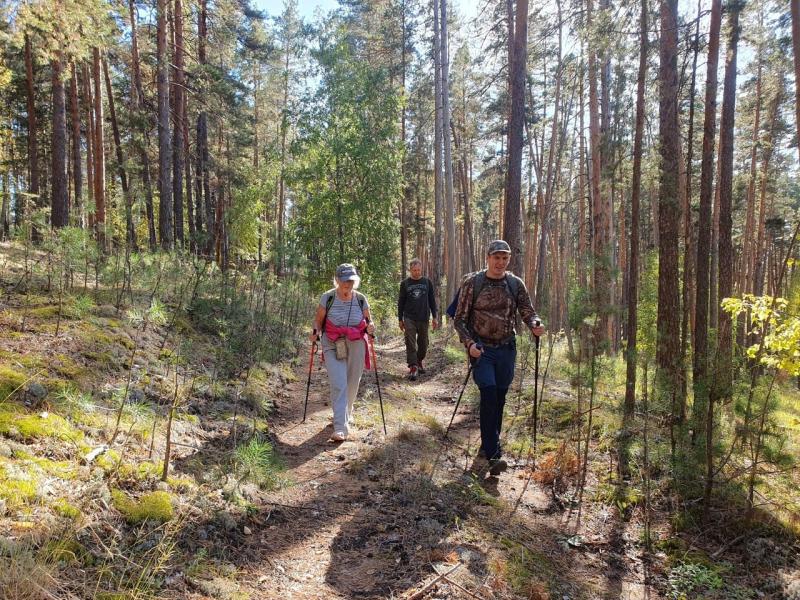 Туристы из Самарской области все чаще посещают национальный парк "Бузулукский Бор"