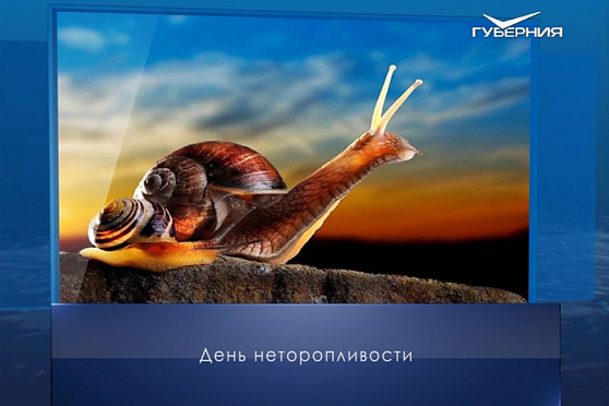 День неторопливости. Календарь губернии от 26 февраля