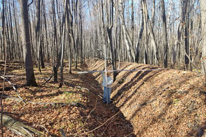 Название статьи