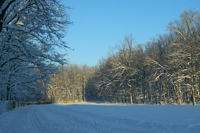 Самарская "Чайка" доступна для любителей активного отдыха круглые сутки 