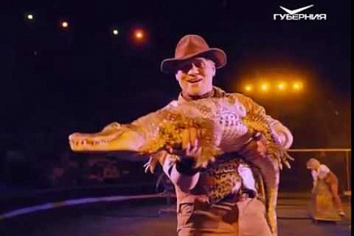 В Самарском цирке представят уникальное шоу с участием индийских слонов