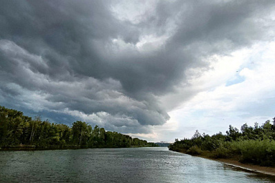 В России нашли уникальный зуб кита с лапами, жившего 37 млн лет назад